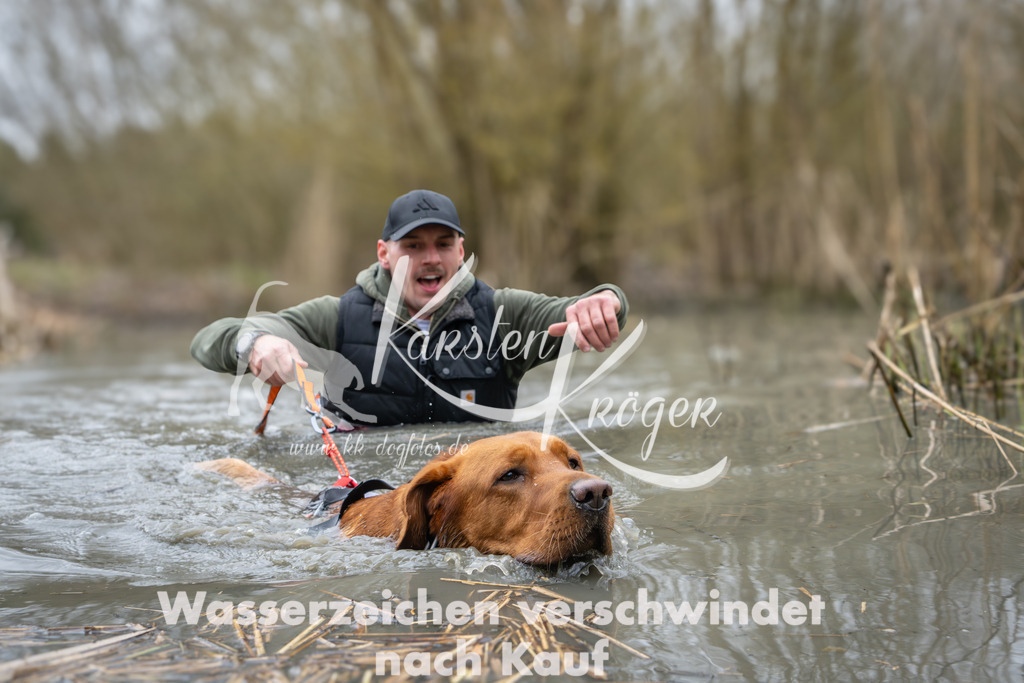 1036_ZZ91306 | kk-dogfotos