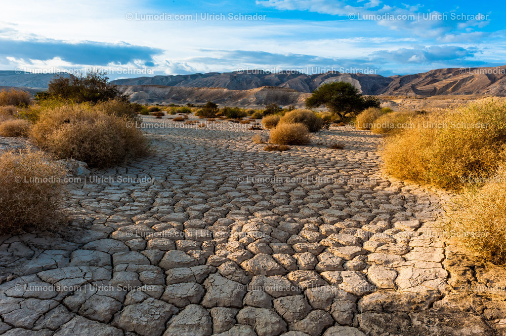 10972-10384 - Negev-Wüste _ Israel | max. Bildgröße A3 | 300dpi - Realisiert mit Pictrs.com