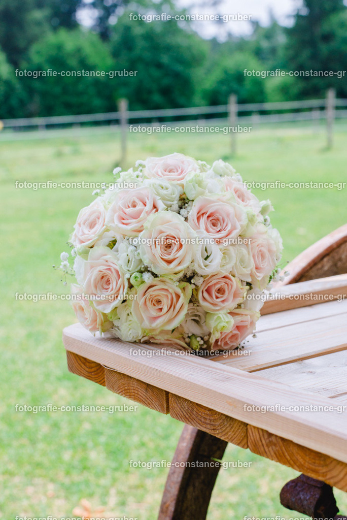 1011 | Fotografie Constance Gruber - Realisiert mit Pictrs.com