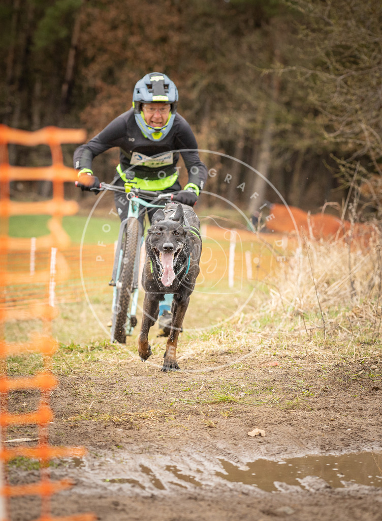 DV3A1476 | Hundefotografie, Tierfotograf, Pfotenfotografie, Fotoshooting Hund, Hunde Portrait, Hundesport, Hundeportraits, Heideshooting, Hunde, Sportfotograf, Hundefotograf, Turnierhundsport, THS,  - Realisiert mit Pictrs.com