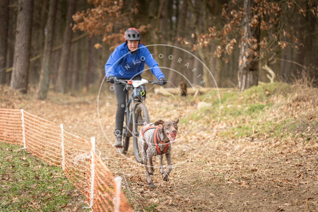 Pfotenfotografie_DV3A3312 | Hundefotografie, Tierfotograf, Pfotenfotografie, Fotoshooting Hund, Hunde Portrait, Hundesport, Hundeportraits, Heideshooting, Hunde, Sportfotograf, Hundefotograf, Turnierhundsport, THS,  - Realisiert mit Pictrs.com