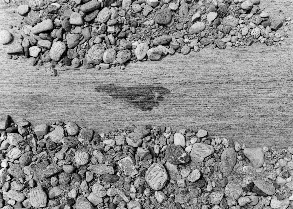 Steinwort_Verzasca_Spur_8319sw | Beegebilder online. 
BIldarchiv von Beege Fotodesign mit ausgewählten Werken, die sich besonders gut für die Dekoration Ihrer Räume oder Wände eignen. 