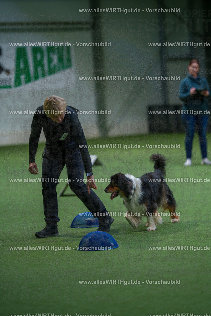 7R506070 | Professionelle Tierfotografie in Mönchengladbach von Daniel Wirth (allesWIRTHgut). Liebevolle & natürliche Bilder von Hunden & Katzen für unvergessliche Erinnerungen.