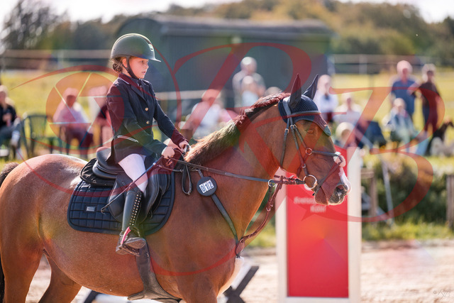 2026_10_03_Siefer-Hof_143842_Z81_09293006 | Professionelle Reitsport-, Turnier- und Eventfotografie von Robert Broda. Galerien mit ausgewählten und bearbeiteten Bildern direkt online ansehen und bestellen.