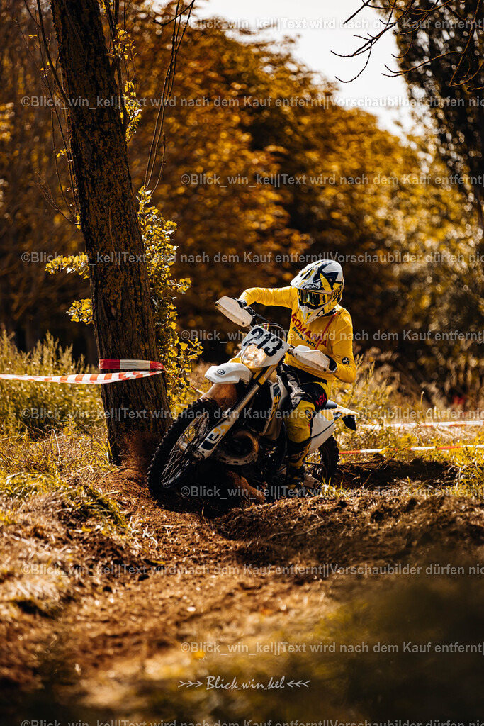 E68A1515 | blick_win_kel