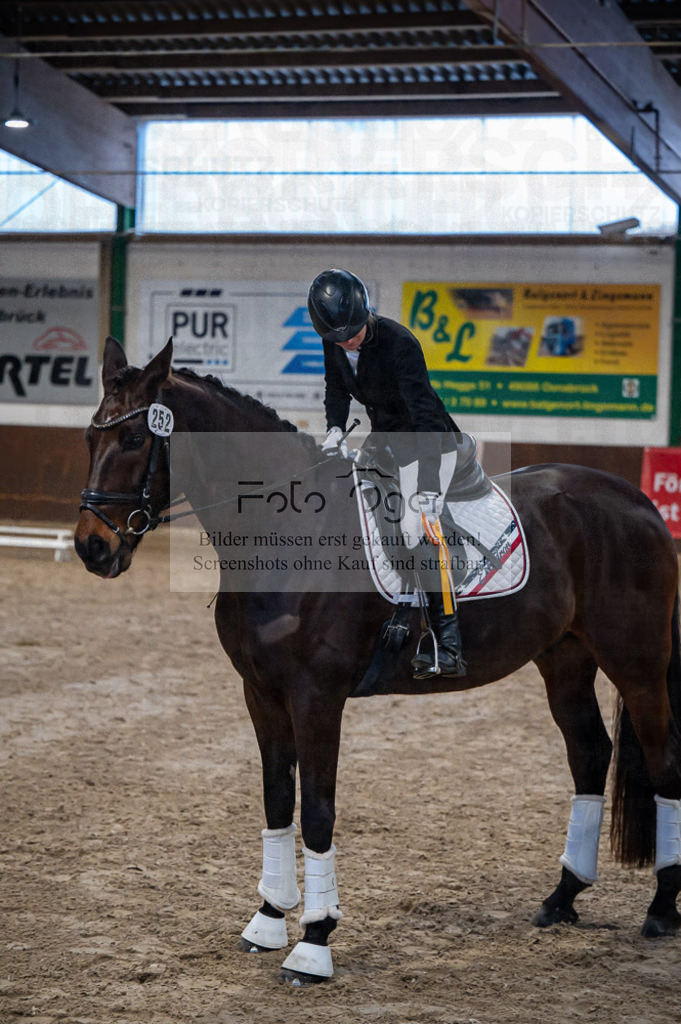 Hallenreittunier Voxtrup 2023 | Entdecke hochwertige Reitturnierfotos von Foto Oger. Professionell, emotional und authentisch – jetzt Lieblingsmomente im Shop bestellen.Deutschlandweite Turnierfotografie. - Realisiert mit Pictrs.com