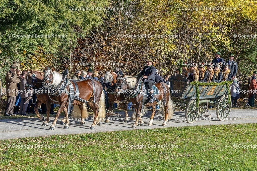 LBT25-559 | foto-bettina-krinner - Realisiert mit Pictrs.com
