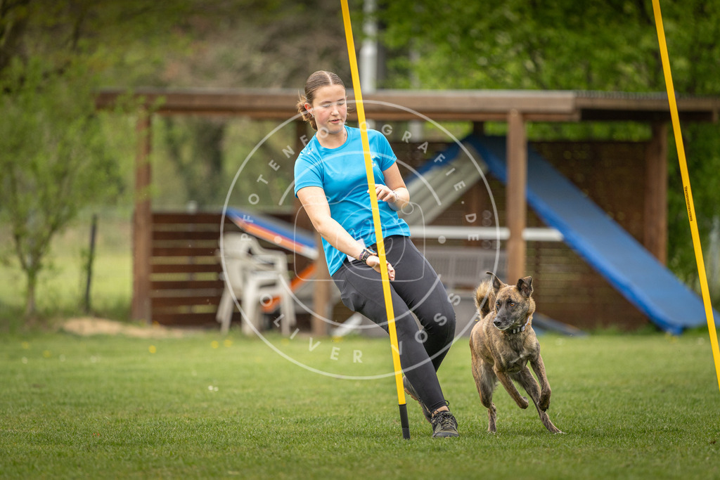 Pfotenfotografie_DV3A1810 | Hundefotografie, Tierfotograf, Pfotenfotografie, Fotoshooting Hund, Hunde Portrait, Hundesport, Hundeportraits, Heideshooting, Hunde, Sportfotograf, Hundefotograf, Turnierhundsport, THS,  - Realisiert mit Pictrs.com