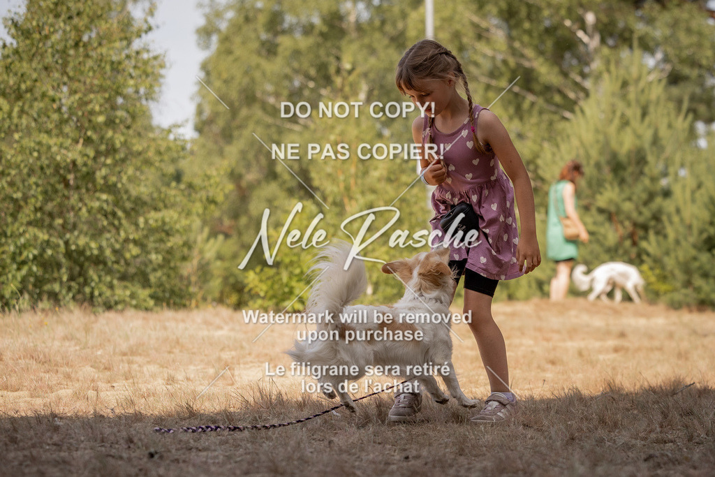 nelerasche_soDD2_287 | nelerasche