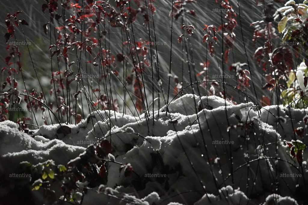 Winter | Deutschland, Westerwald - Realisiert mit Pictrs.com