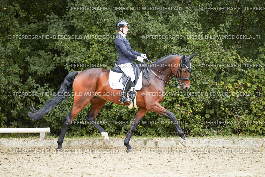 DSC07208 | Pferdegrafie