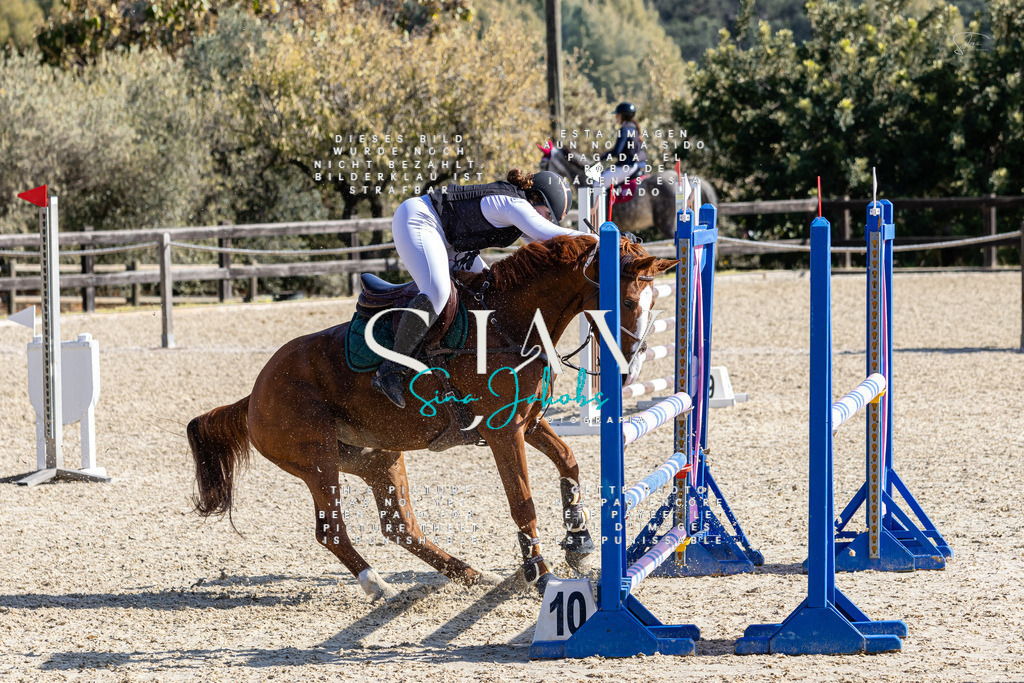 IMG_6340 | s-jay-photography - Realisiert mit Pictrs.com