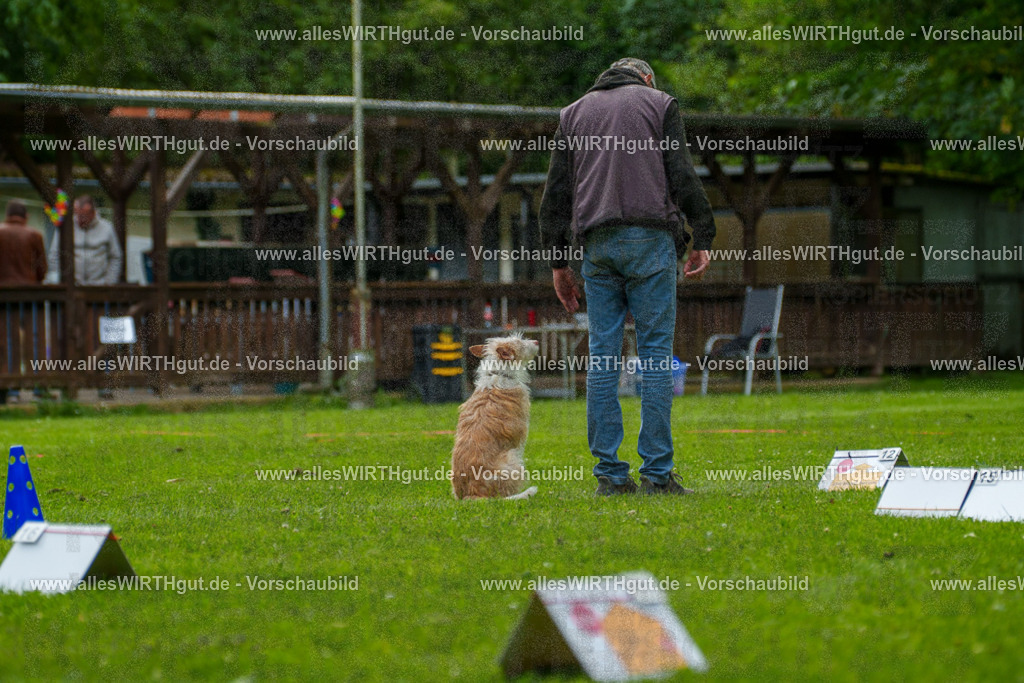 @allesWIRTHgut_Tierfotografie - www.allesWIRTHgut.de - 7R501367 | Professionelle Tierfotografie in Mönchengladbach von Daniel Wirth (allesWIRTHgut). Liebevolle & natürliche Bilder von Hunden & Katzen für unvergessliche Erinnerungen.