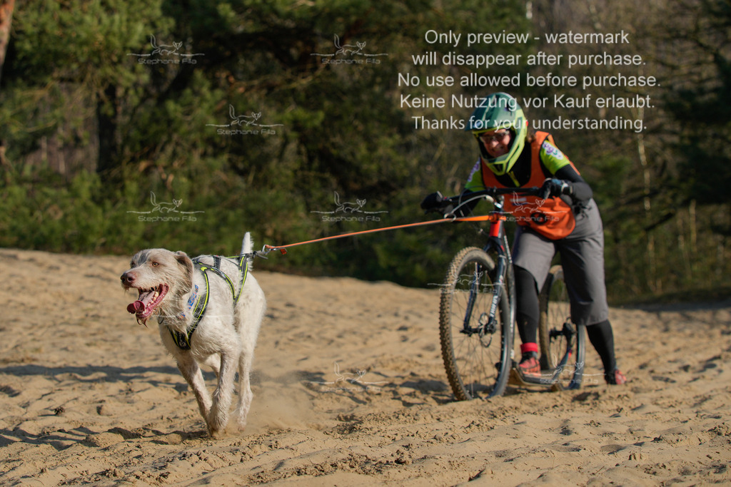 So_Scooter-331 | stephaniefillaphotographie - Realisiert mit Pictrs.com