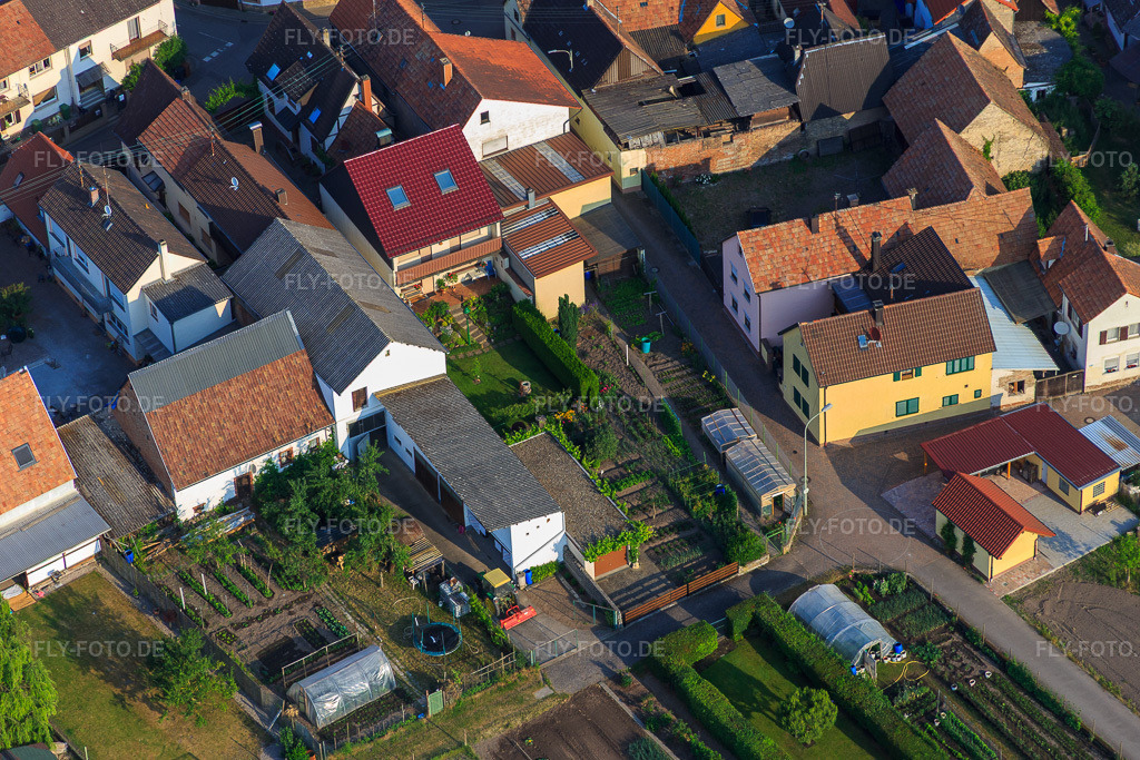 Luftbild: Häckgasse in Zeiskam im Bundesland Rheinland-Pfalz in Deutschland. Foto: IMG_080650.jpg vom 12.06.2015 durch Werner Riehm/FLY-FOTO.de