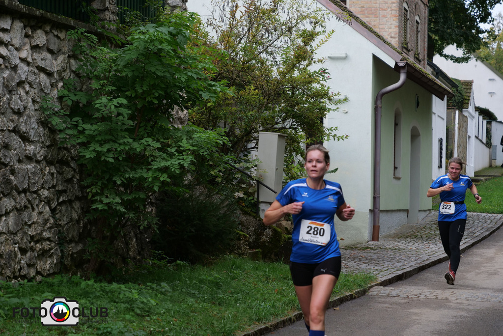 P1017249 | Foto Buchgraber