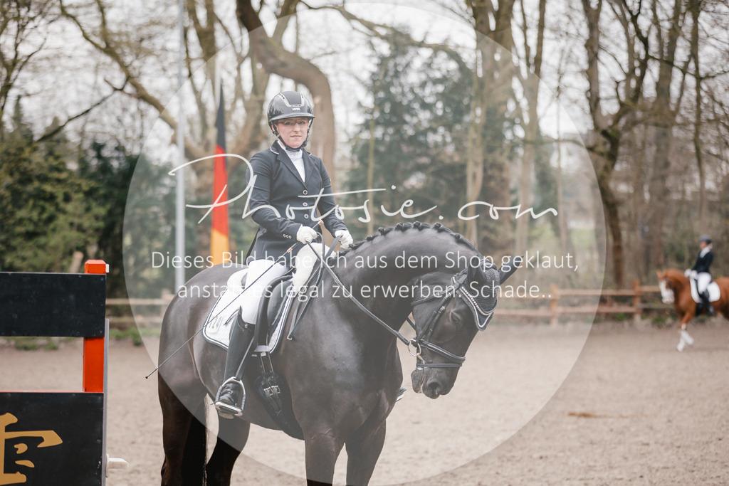3I6A6297 | Stimmungsvolle Portraits und Reitsportfotografie im Ruhrgebiet und im Münsterland.

Pferdefotografie, Hundefotografie, Tierfotografie, Reportagen, Portraits von Tier und Mensch, Turnierfotografie in Bochum, Recklinghausen, Marl, Haltern am See, Dülmen.. - Realisiert mit Pictrs.com