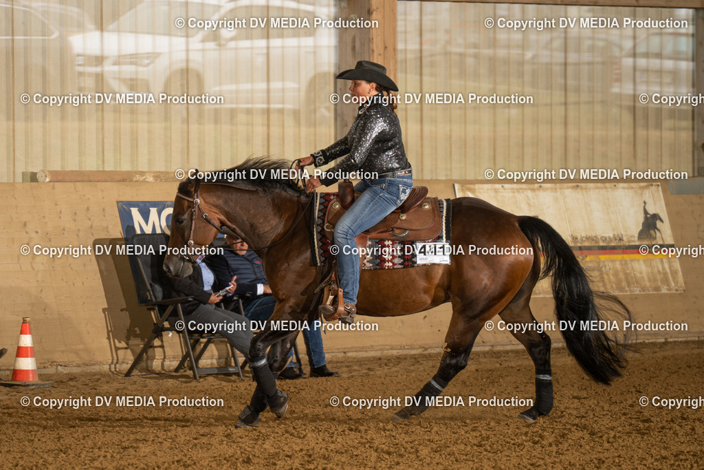 LAU00525 | dv-media-shop - Realisiert mit Pictrs.com