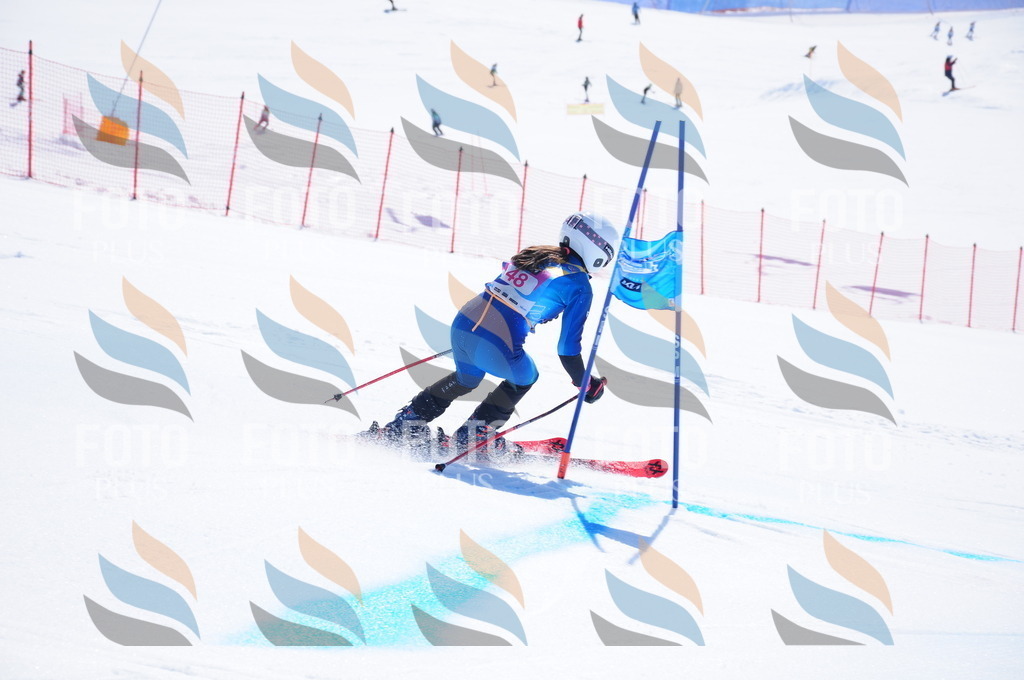 DSC_4167 | holidayphoto