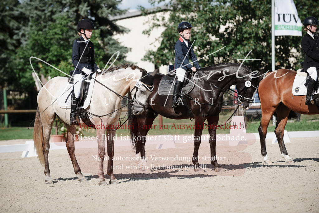 DSC_0176 | Pferde- und Turnierfotografie in Westsachsen. Pferdeportraits, Auftragszeichnungen und intuitive Kunst.