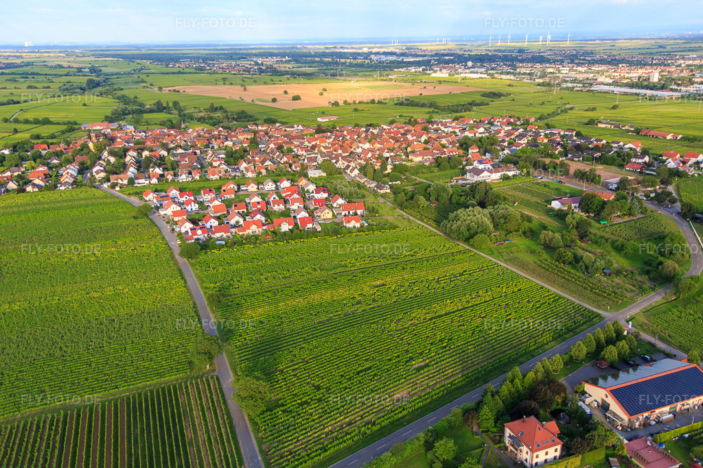 Luftbild: Neubaugebiet Weinleseweg südlich der Kirchhohl im Ortsteil Nußdorf in Landau im Bundesland Rheinland-Pfalz in Deutschland. Foto: IMG_090173.jpg vom 26.06.2016 durch Werner Riehm/FLY-FOTO.de