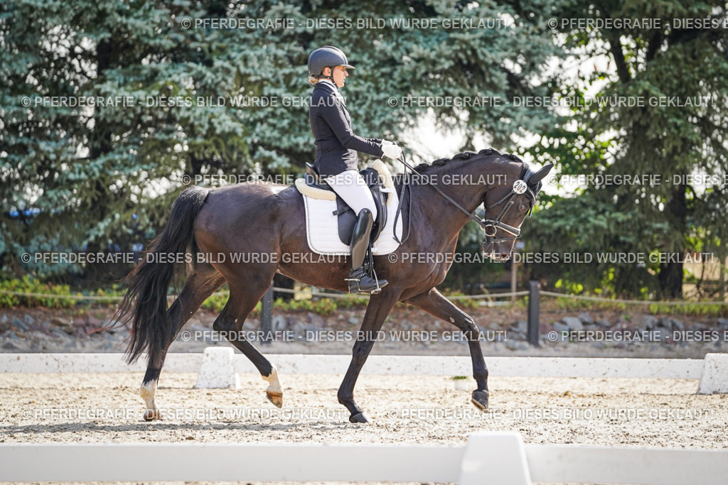 DSC06454 | Pferdegrafie