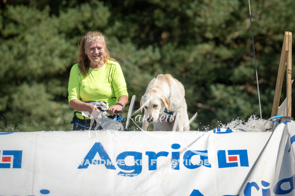 1211_ZZ95057 | kk-dogfotos