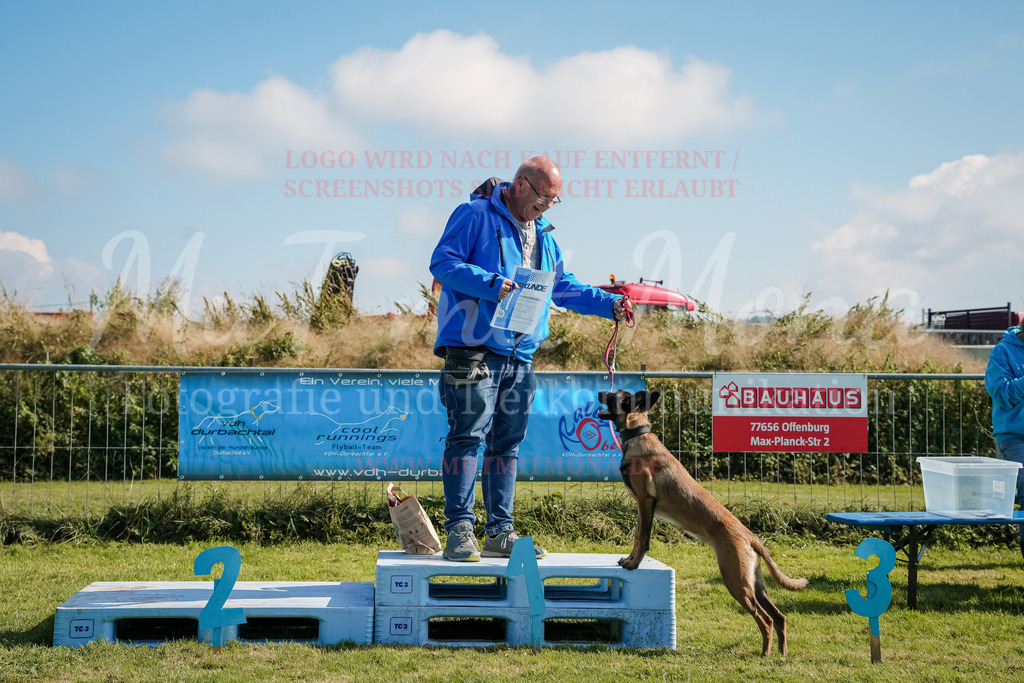 20250928_Hunderennen-732 | MuT (Mensch und Tier) mit Mona - Fotografie und Tierkommunikation - Realisiert mit Pictrs.com