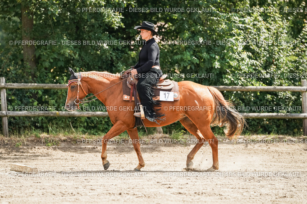 DSC06074 | Pferdegrafie