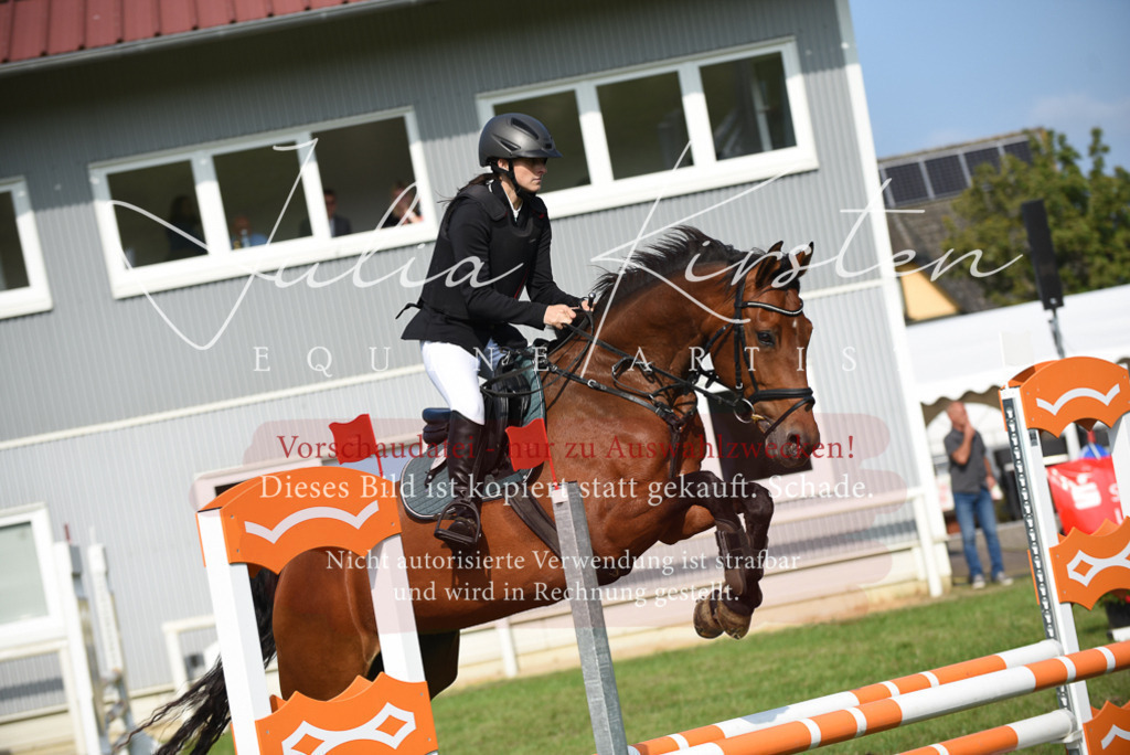 DSC_8832 | Pferde- und Turnierfotografie in Westsachsen. Pferdeportraits, Auftragszeichnungen und intuitive Kunst.