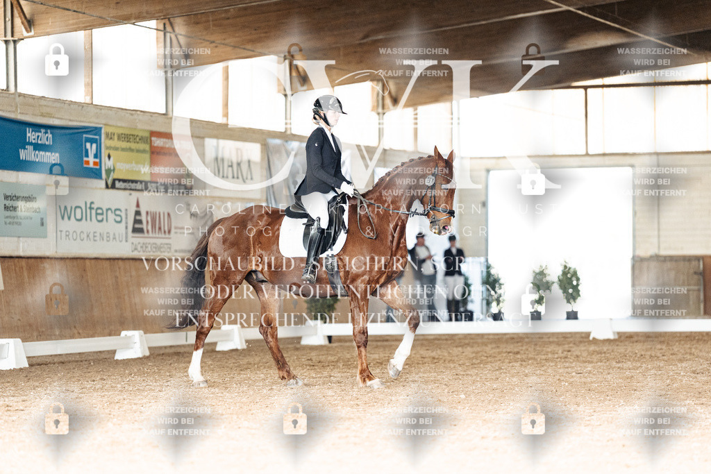 CK902424 | Turnierfotografie Pferdefotografie Trier Rheinland-Pfalz Pferdesport Reitsport Tierfotografie Sportfotografie Pferdevideo Pferdevideografie Equestrianvideography equestrianphotography  - Realisiert mit Pictrs.com