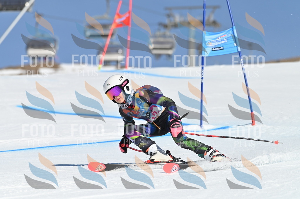 BGV_7801 | holidayphoto