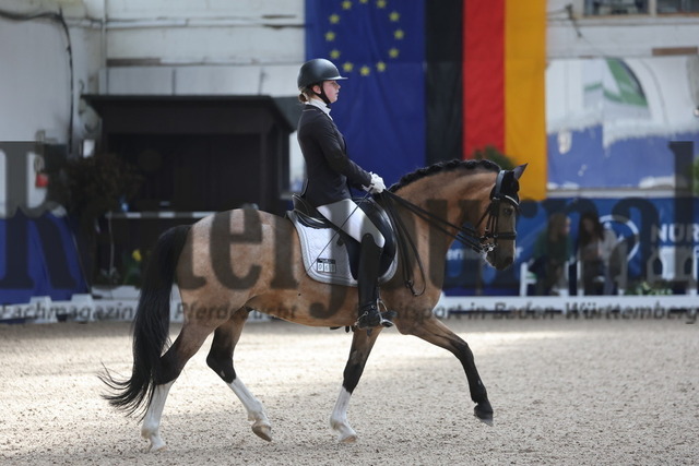 Pforzheim_2024_Prfg.Nr.12_Dressurreiterprfg.Kl.M_Nürnberger-Burgpokal_Cecile Mutz_Capri au Lait (5) | Alle Fotos der Reiterjournal Fotografin Doris Matthaes im Reiterjournal Online-Fotoshop. - Realisiert mit Pictrs.com