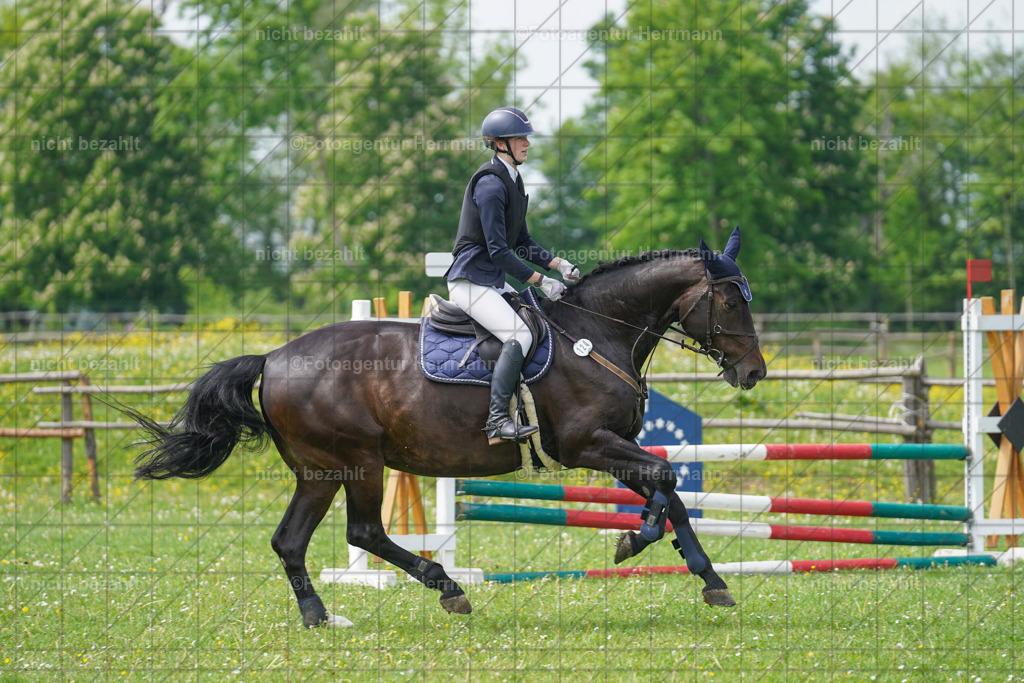 20240509-FAH02753 | Turnierbilder der Turnierfotografen Bayern, Pferdesport Fotografie, Reitsportbilder, Turnier Landberg am Lech, Turnierbilder bayern, Fotoagentur Herrmann