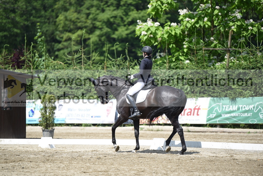 DSC_8992 | equestrian-live-com