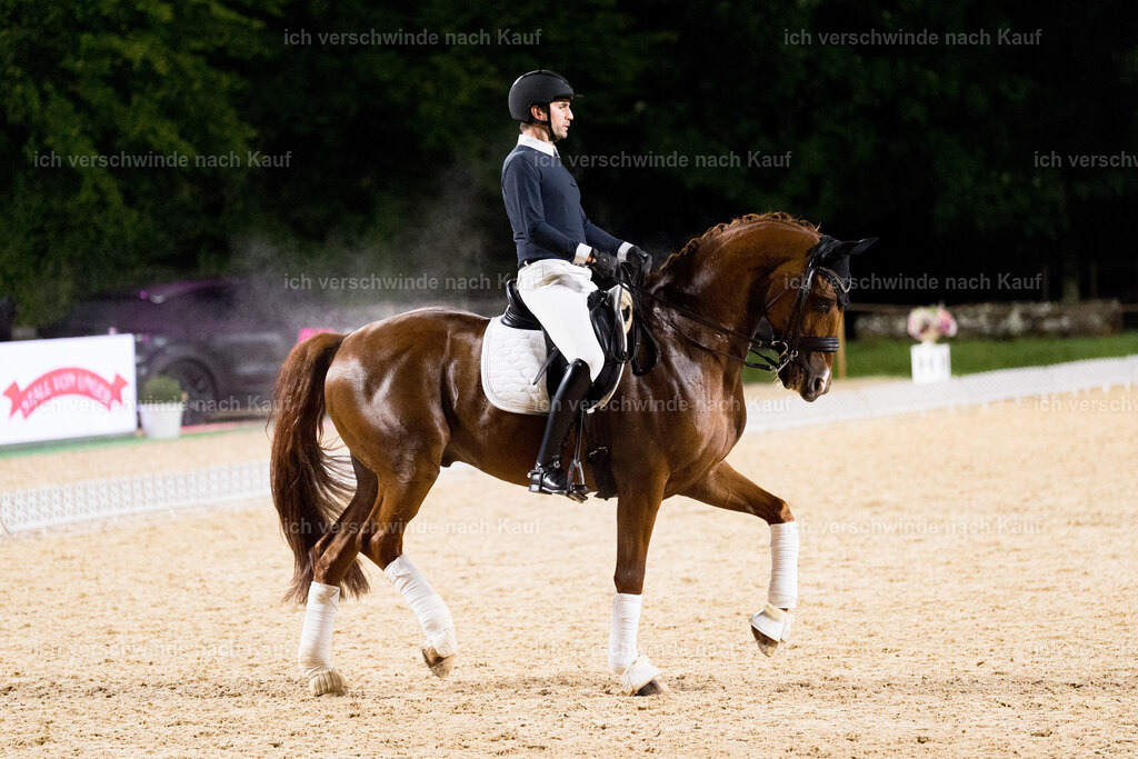 FHC2025 Isabell Werth-0034 | working equitationturnier fotograf videograf stoibphotography marixx film working equitation deutschland reitsport turnierfotografie eventfotografie equestrian events