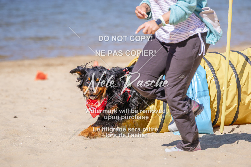 NR__1221 | nelerasche
