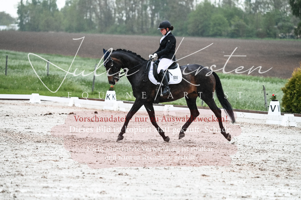 DSC_4687 | Pferde- und Turnierfotografie in Westsachsen. Pferdeportraits, Auftragszeichnungen und intuitive Kunst.