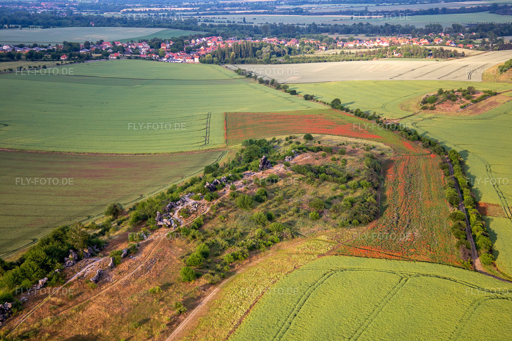 Luftbild: Warnstedter Teufelsmauer in Thale im Bundesland Sachsen-Anhalt in Deutschland. Foto: IMG_136439.jpg vom 16.06.2023 durch Werner Riehm/FLY-FOTO.de