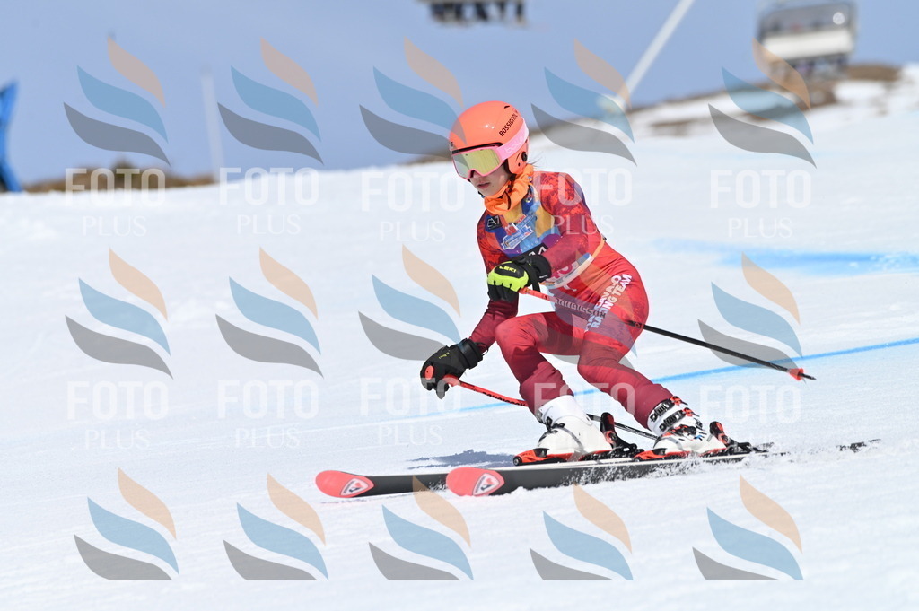 BGV_0207 | holidayphoto