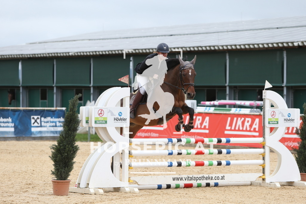 DL2Q0777 | Willkommen bei Brunnmayr - Design & Fotografie – Ihrem Spezialisten für Reitturniere und Pferdeveranstaltungen in Oberösterreich, Salzburg und Bayern! Seit über 17 Jahren sind wir leidenschaftlich dabei.