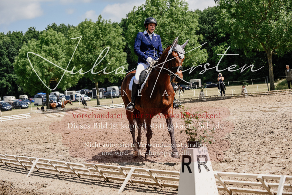DSC_1233 | Pferde- und Turnierfotografie in Westsachsen. Pferdeportraits, Auftragszeichnungen und intuitive Kunst.