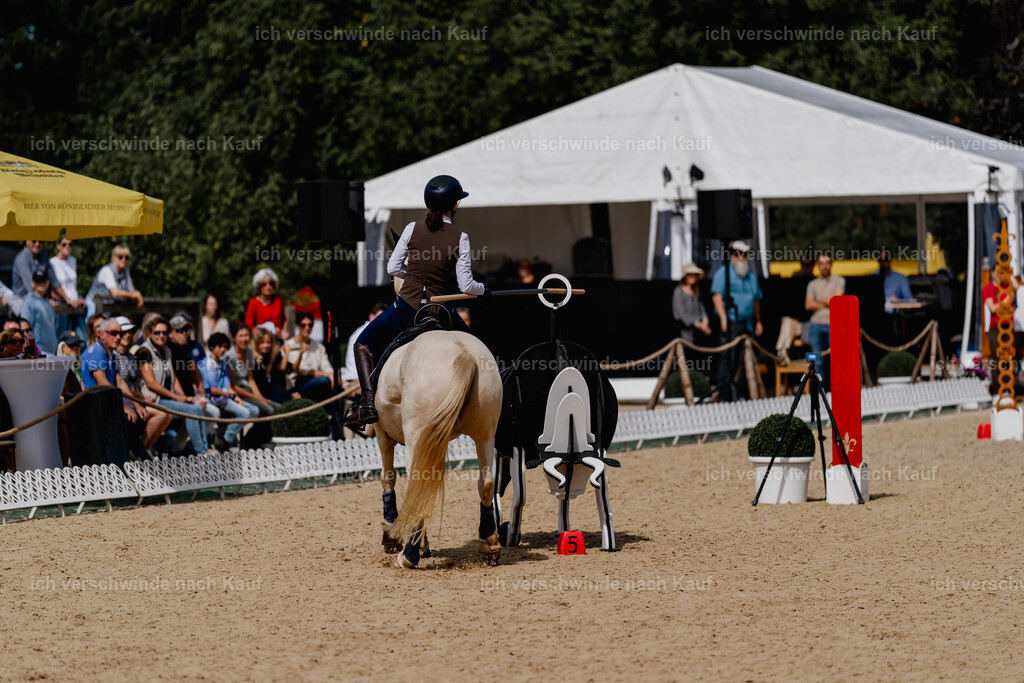 Nici11_FHC2025-2544 | working equitationturnier fotograf videograf stoibphotography marixx film working equitation deutschland reitsport turnierfotografie eventfotografie equestrian events