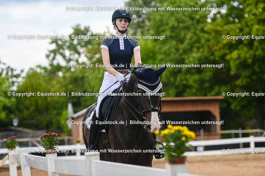 20230716_01_Dressurprüfung Kl.M_0489 | equistock