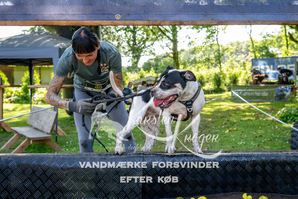 1541_ZZ92851 | kk-dogfotos