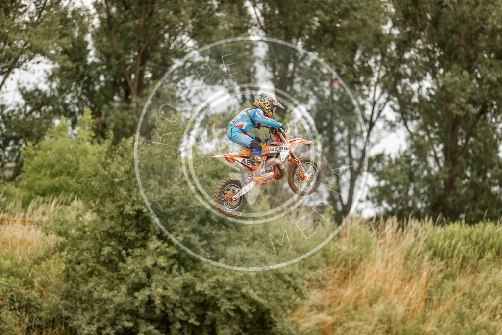 Sx Series 1-1698 | koppe-media - Realisiert mit Pictrs.com