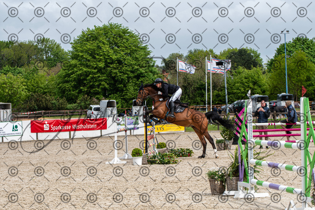 KPT_8868 | andre_photographic