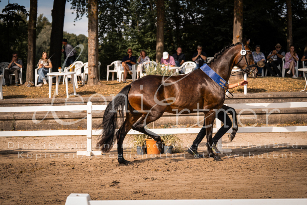 FrER00246 | Leoni Ertmer Photography - Realisiert mit Pictrs.com