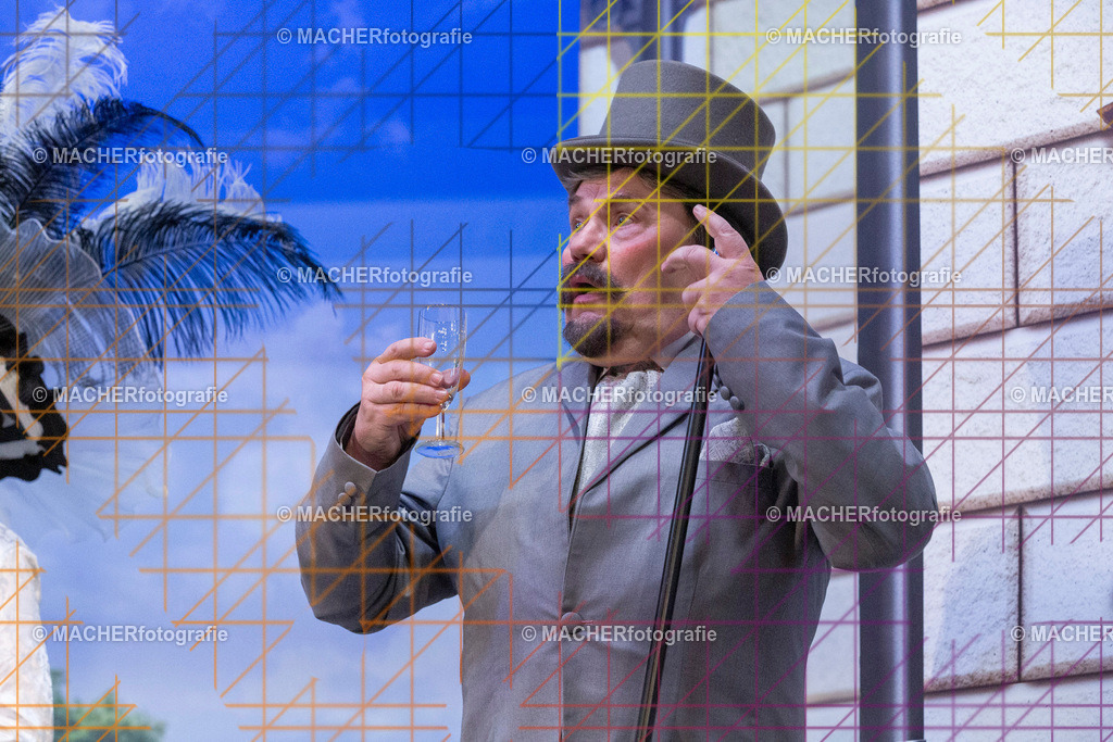 281_MFL-2025 | Portraitbilder von Regisseur; Darsteller; Techniker; Maske; Kostüme; Chor; Musiker; Bilderserie der Generalprobe und der Premierenvorstellung, Szenenbilder; Ausdrucksstudien; Bühnenüberblick; Bühnenkulissen; Pressefotos inkl. Redaktionsfoto Darstellergruppe.