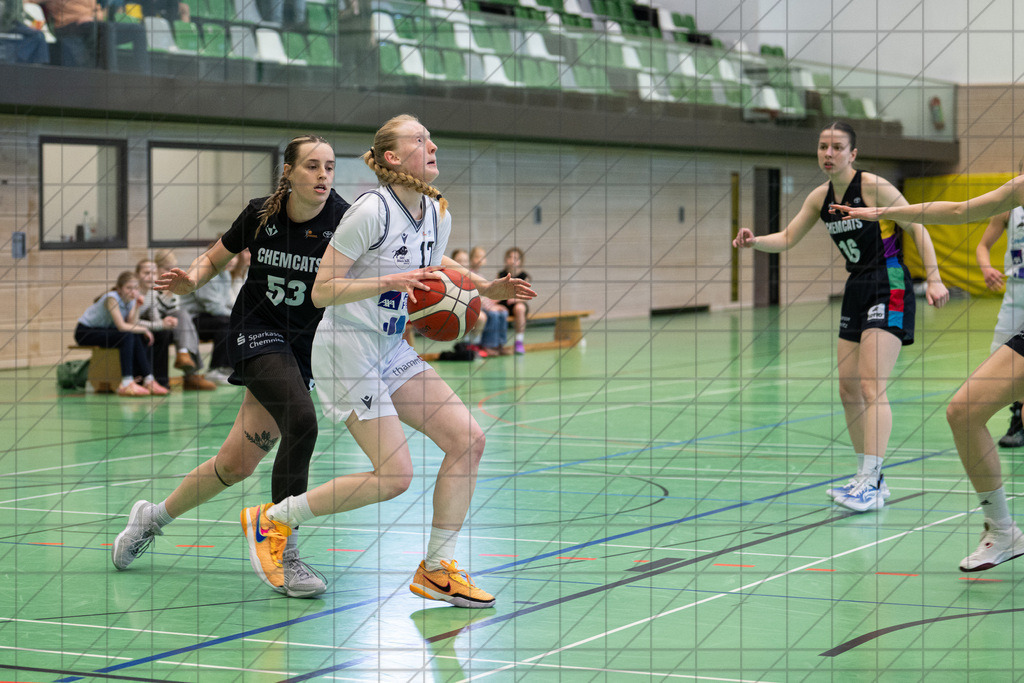 2. DBBL Nord 24/25 | 09.03.2025 | BBC OS vs. ChemCats Chemnitz | 2. DBBL Nord 24/25 | 09.03.2025 | BBC OS vs. ChemCats Chemnitz - - - - - CREDIT, www.bullenfotos.de, Martin König, Hörner Weg 40, D-49078 Osnabrück, +4917663732967, Nutzung und Weitergabe nur zu den vereinbarten Zwecken. Presseanfragen an Urheber. Alle Rechte beim Urheber. - - - - - - Realisiert mit Pictrs.com